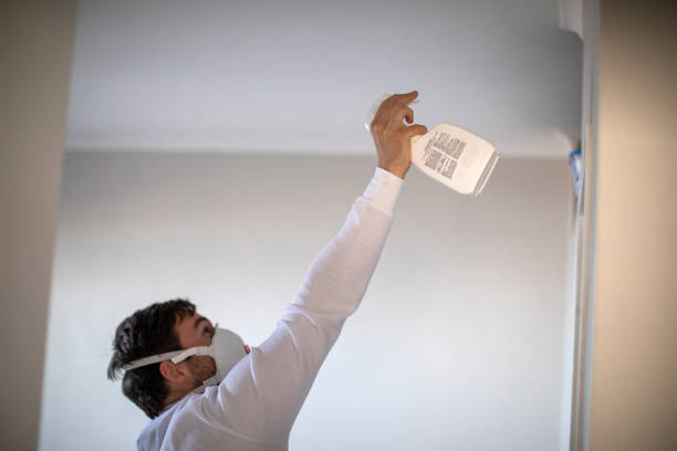 Best Industrial Mold Remediation in Williston Park, NY