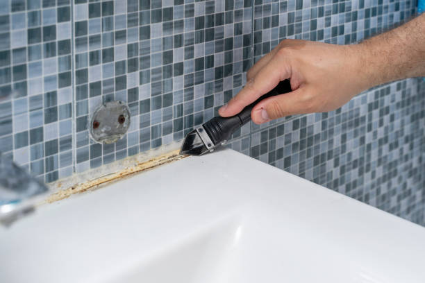 Williston Park, NY Mold Remediation Company